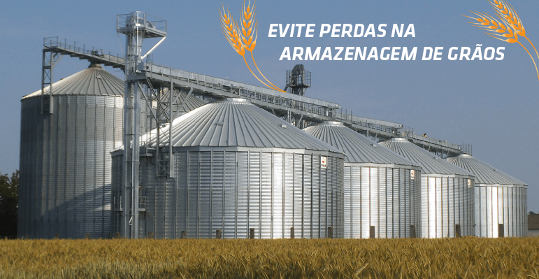 Evite perdas na armazenagem de grãos